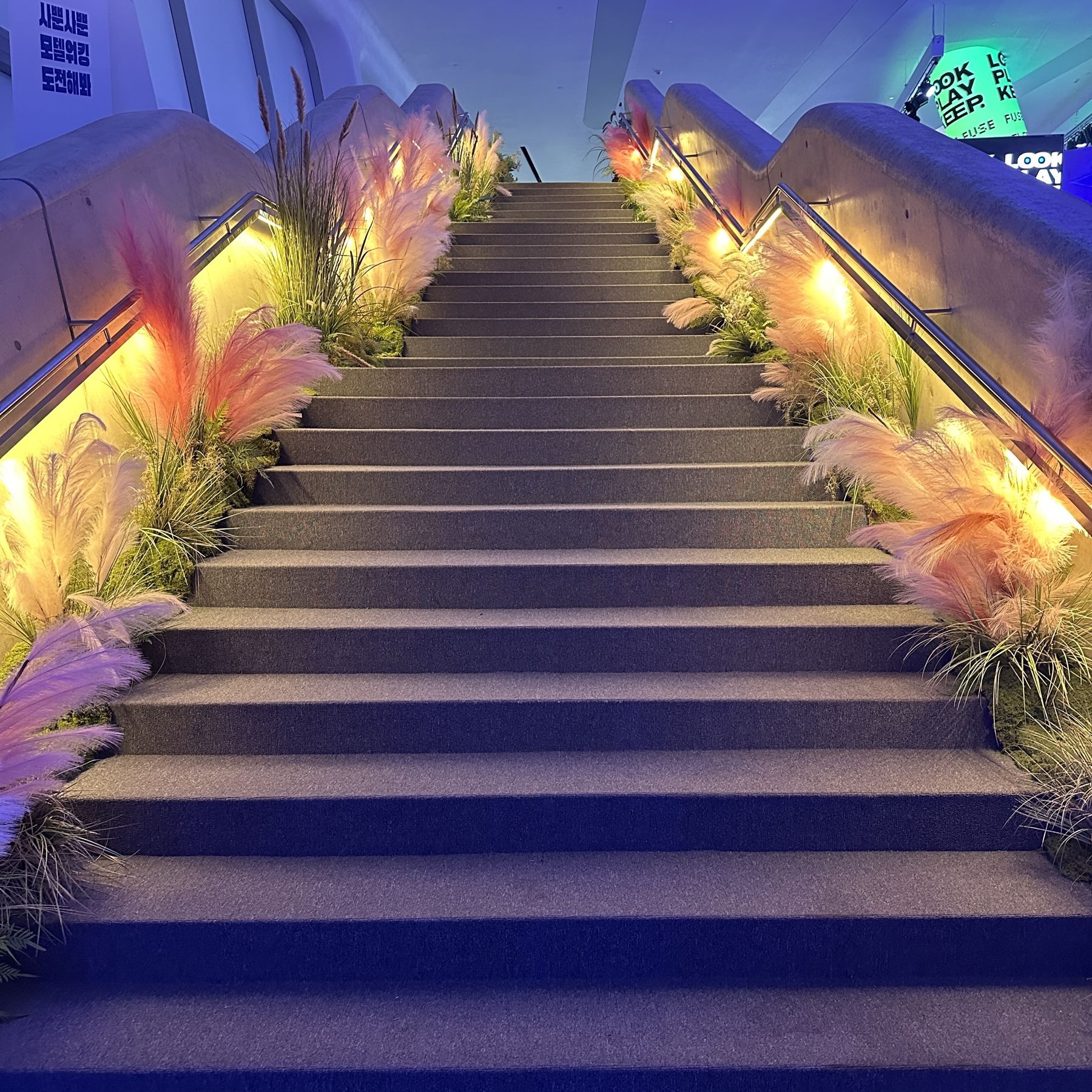 Escalier décoré de pampas lumineuses